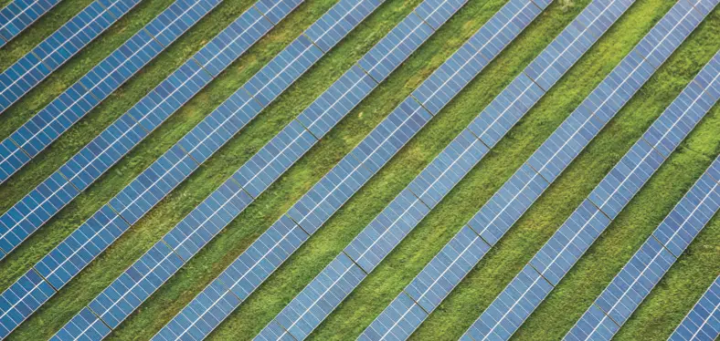 Sustainability & ESG Consulting