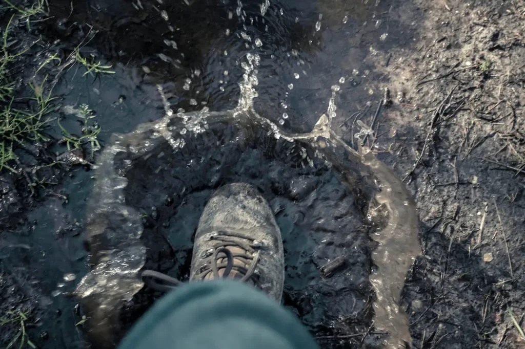 Specialist Ecological Services 02